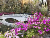 Magnolia Plantation and Gardens