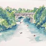 Cruise around Lady Bird Lake