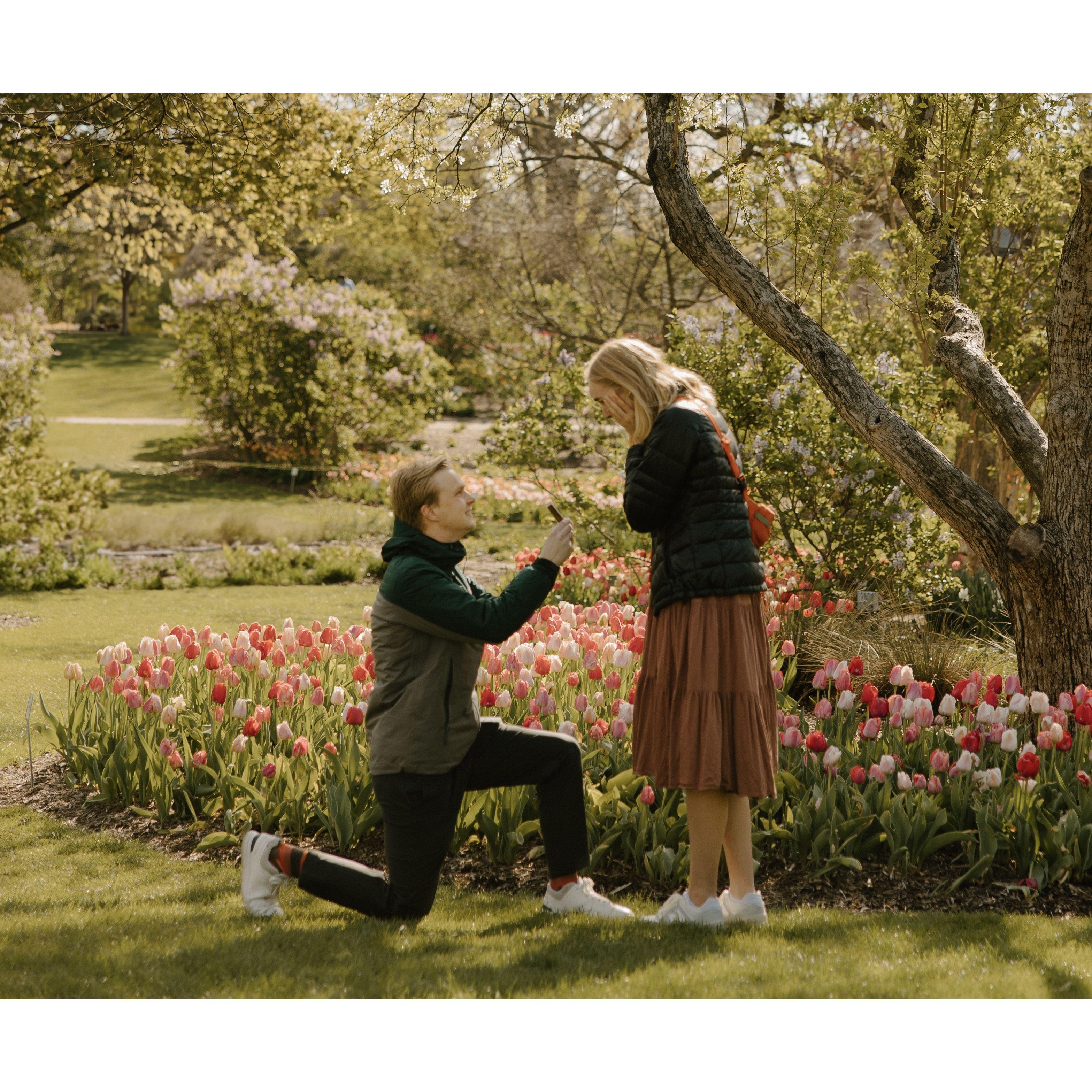 The proposal (but way better than the movie)