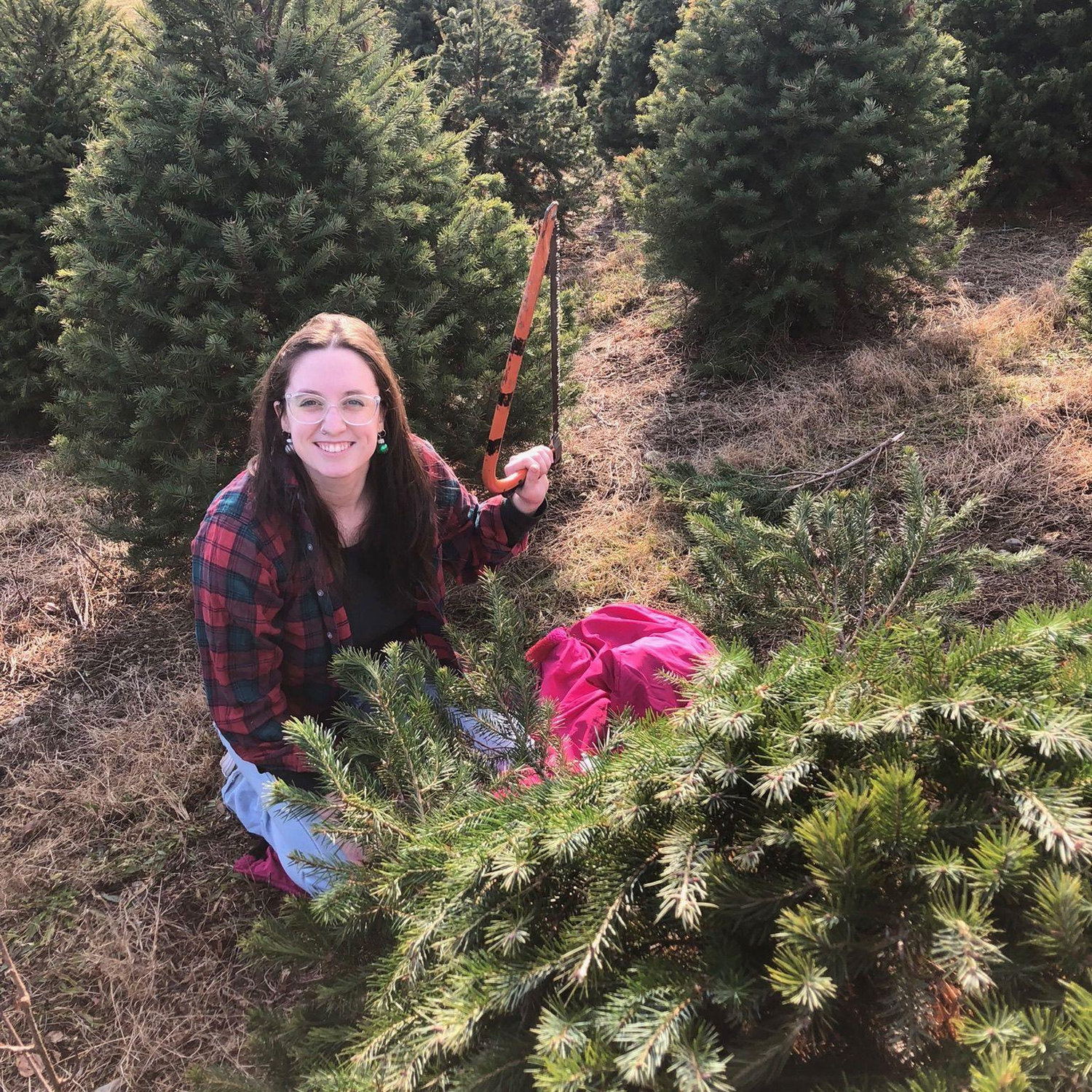 Cutting down our first Christmas tree! December 2023