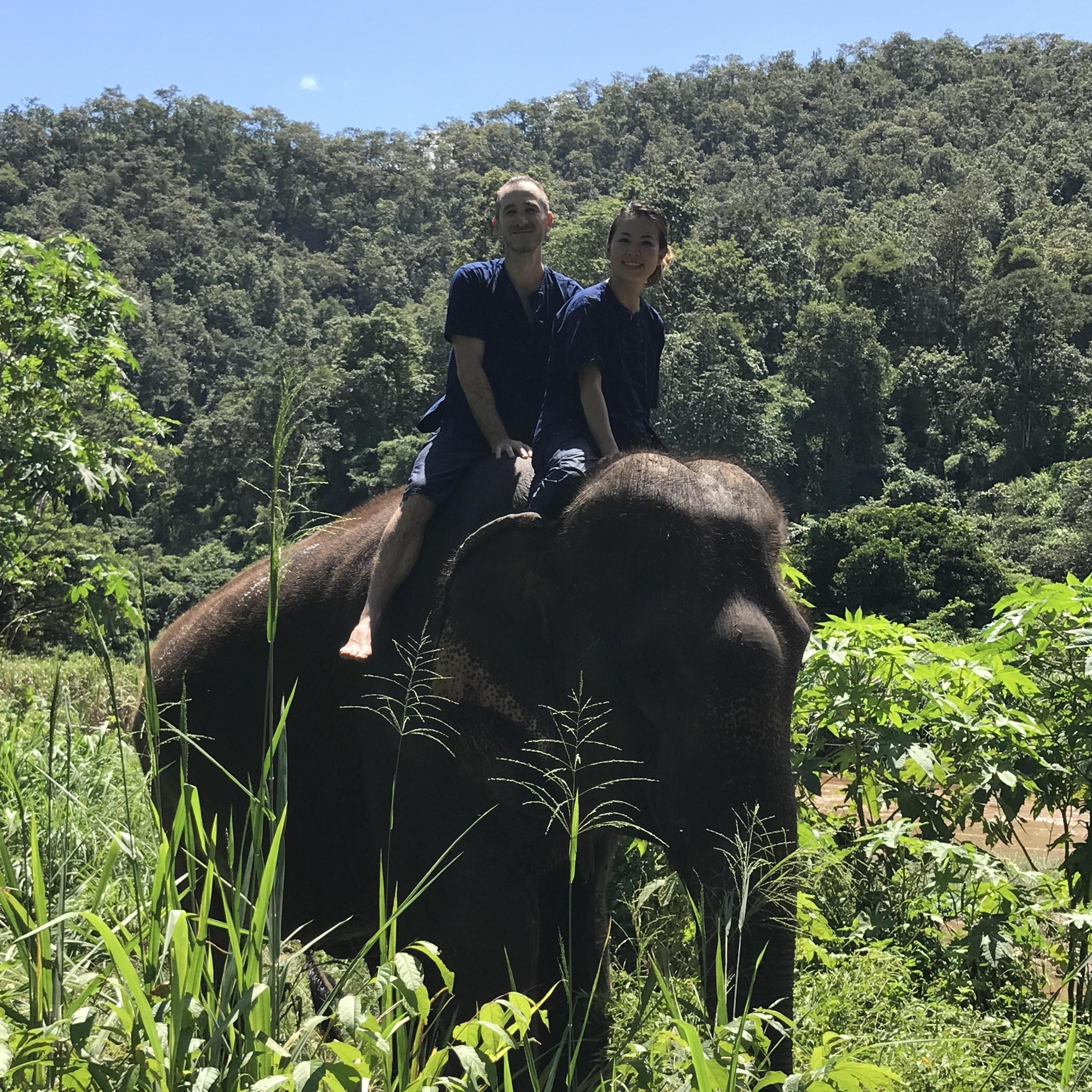 Elephant ride, Chiang Mai