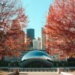 Downtown Chicago