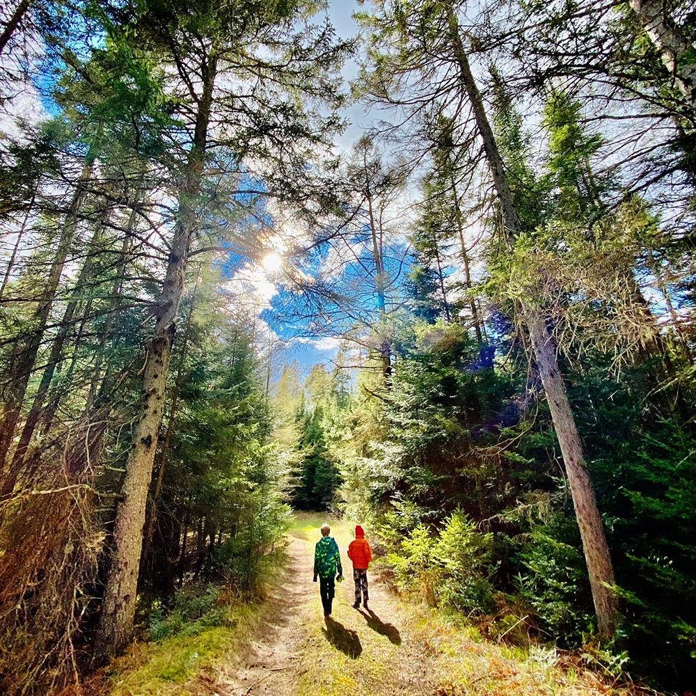 Trails
