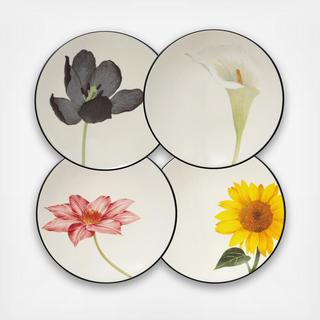Colorwave Floral Appetizer Plate, Set of 4