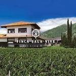 Wine Tasting at Local Vinyard: Finca Sala Vive