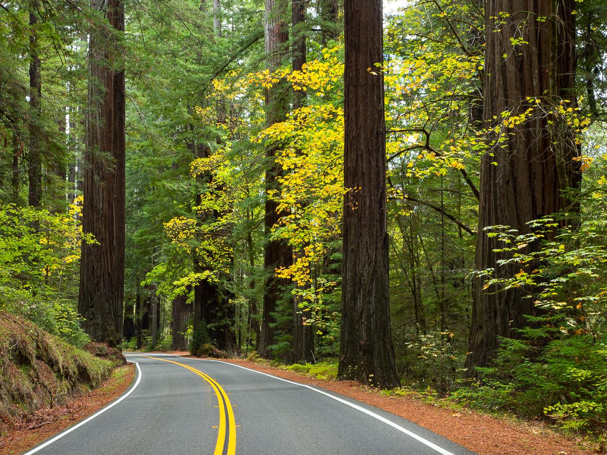 The Wedding Website of Althea Newman and Asher Budnik