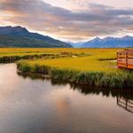 Potter Marsh Wildlife Viewing Boardwalk