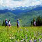 Hiking