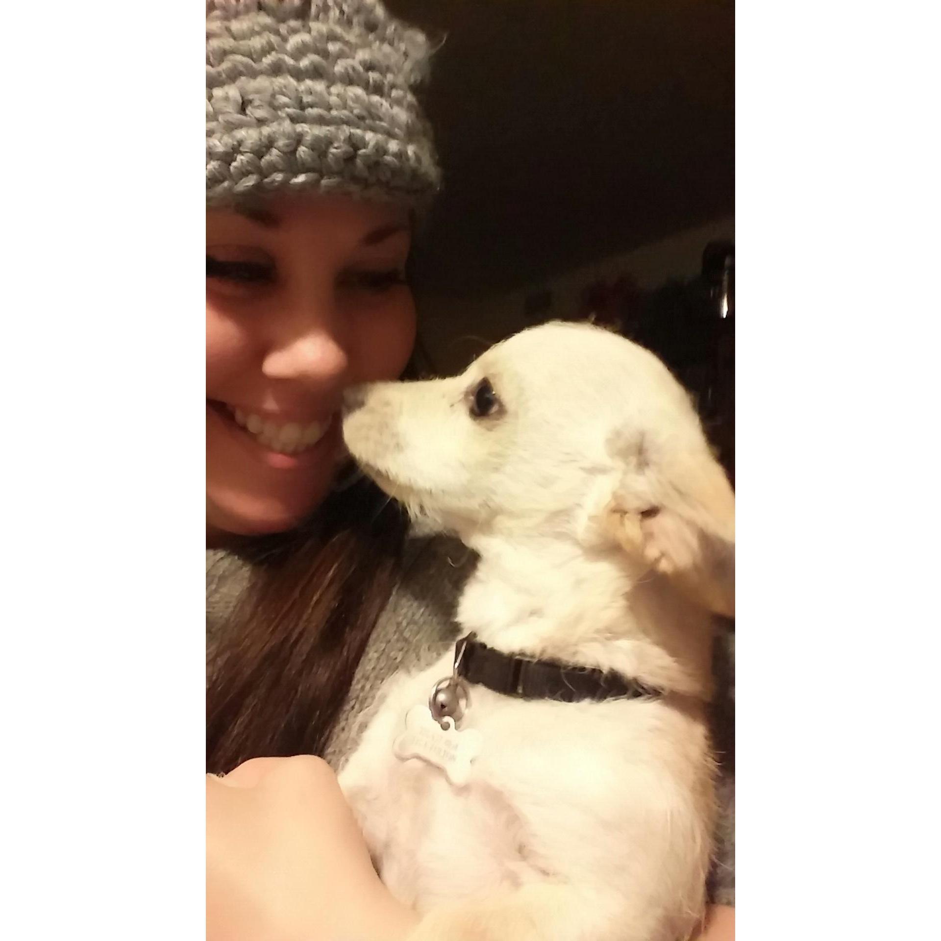 The first time that Ollie came to his forever home.