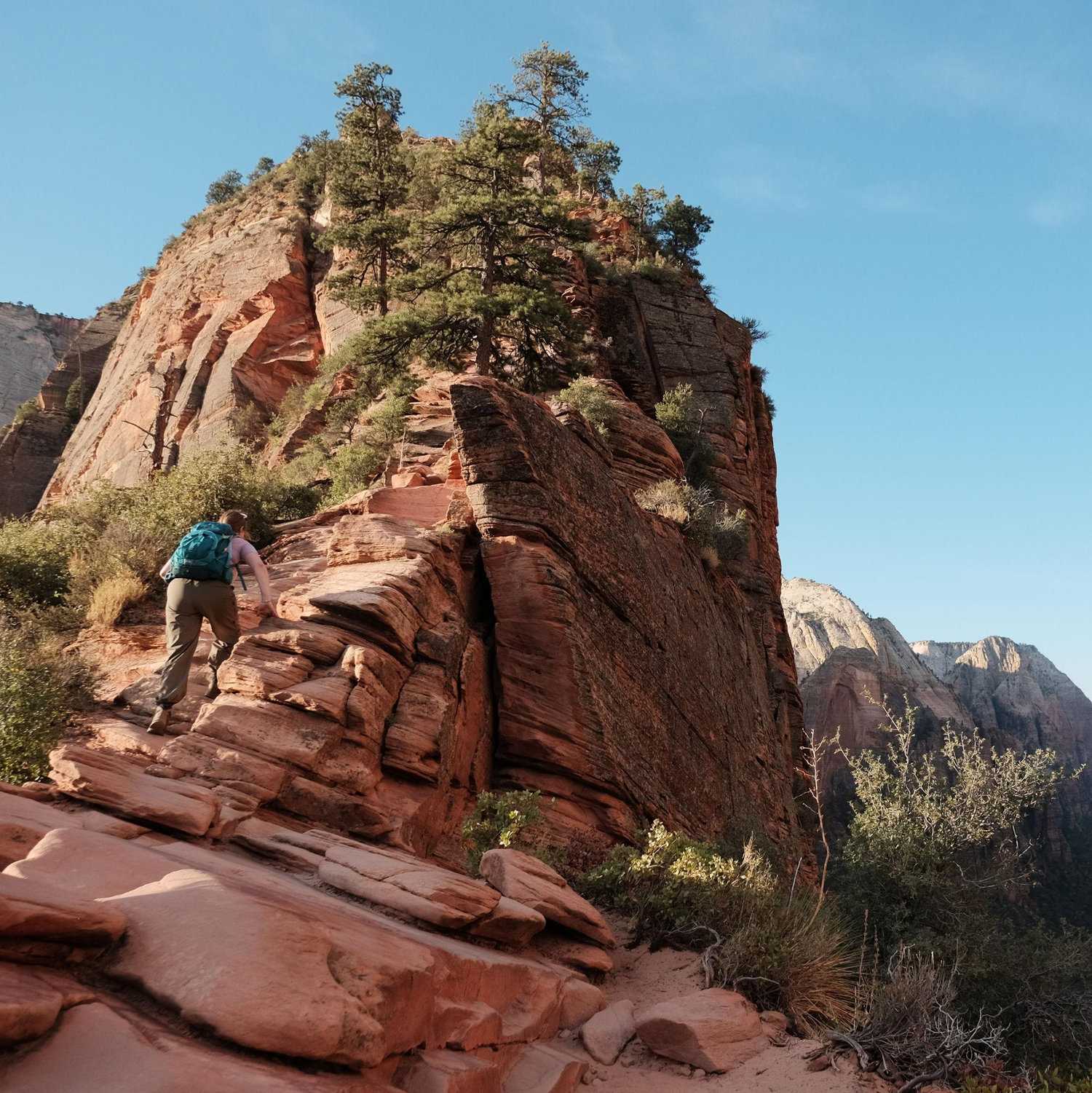 Zion Trip! Angels Landing