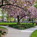 Morristown Green