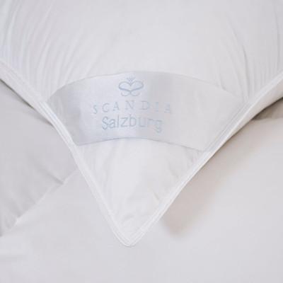 Salzburg Polish White Goose Down Standard Pillow
