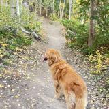Riley & Carl Approved Hiking Recommendations