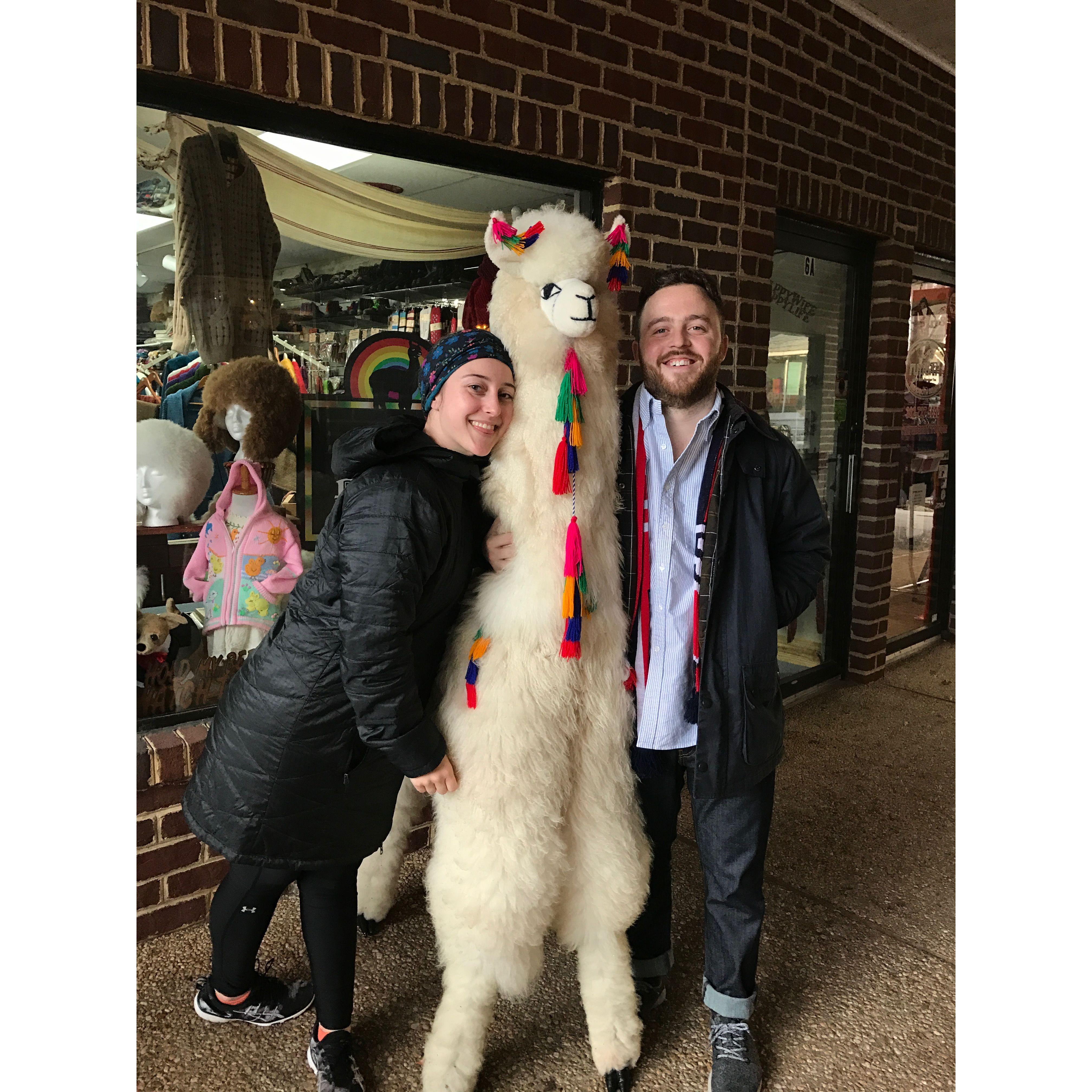 Llama love your forever!