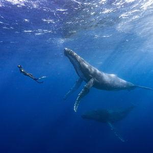Freediving Lessons with Diventure