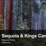 Sequoia National Forest