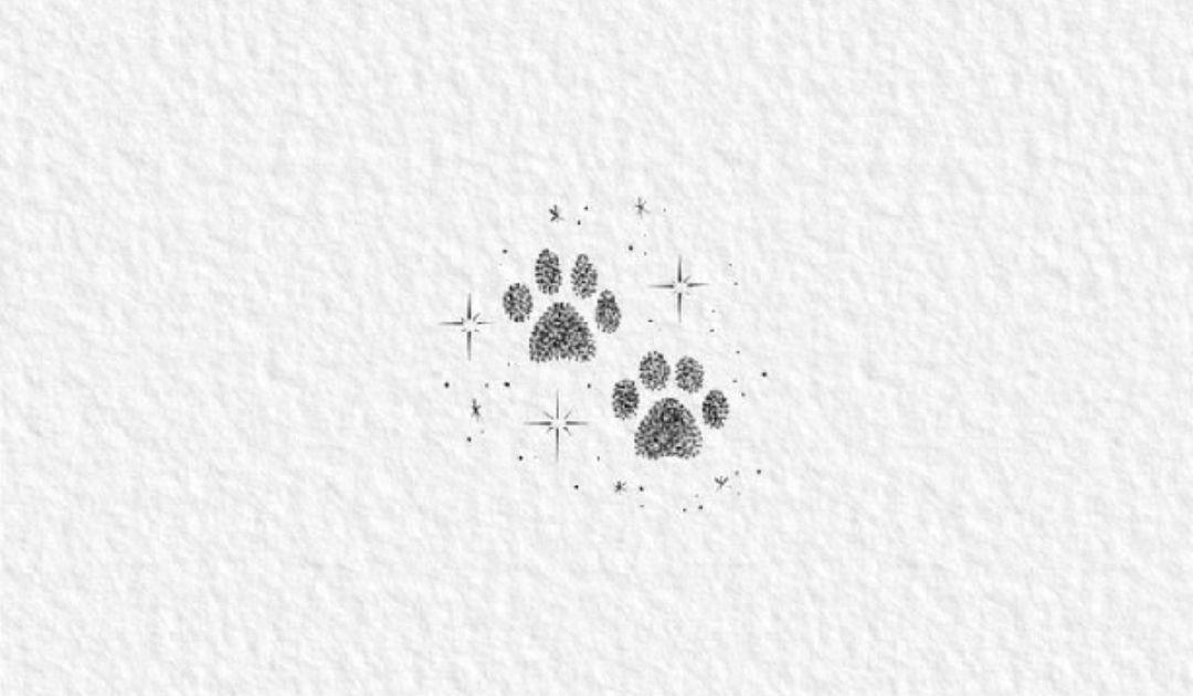 Footer image