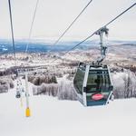 Enjoy Winter Sports