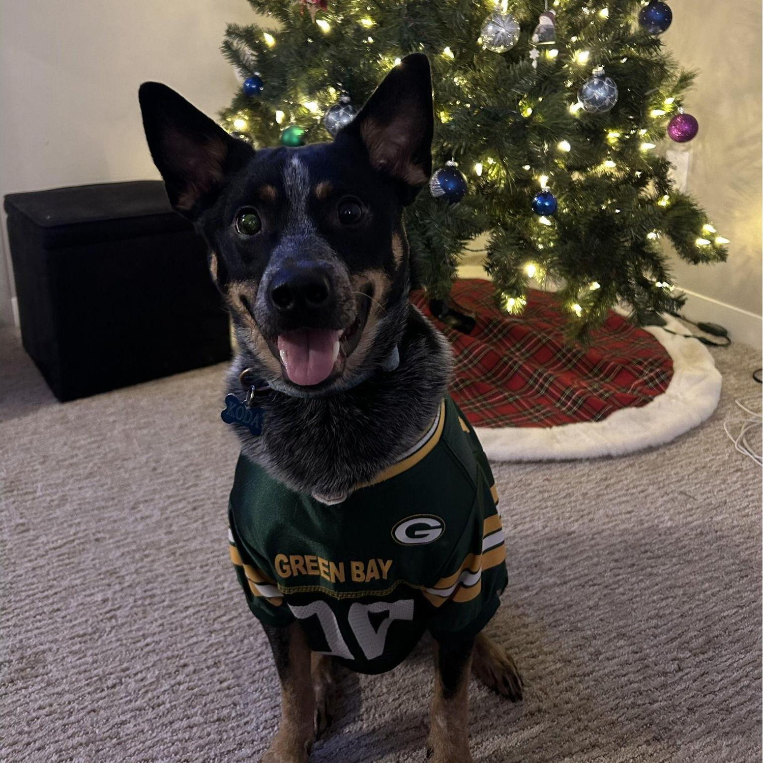 Our child on his first Christmas in our apartment together.