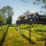 City Scape Winery