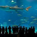 New England Aquarium - BOSTON