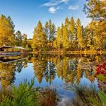 Starfield Vineyards & Winery
