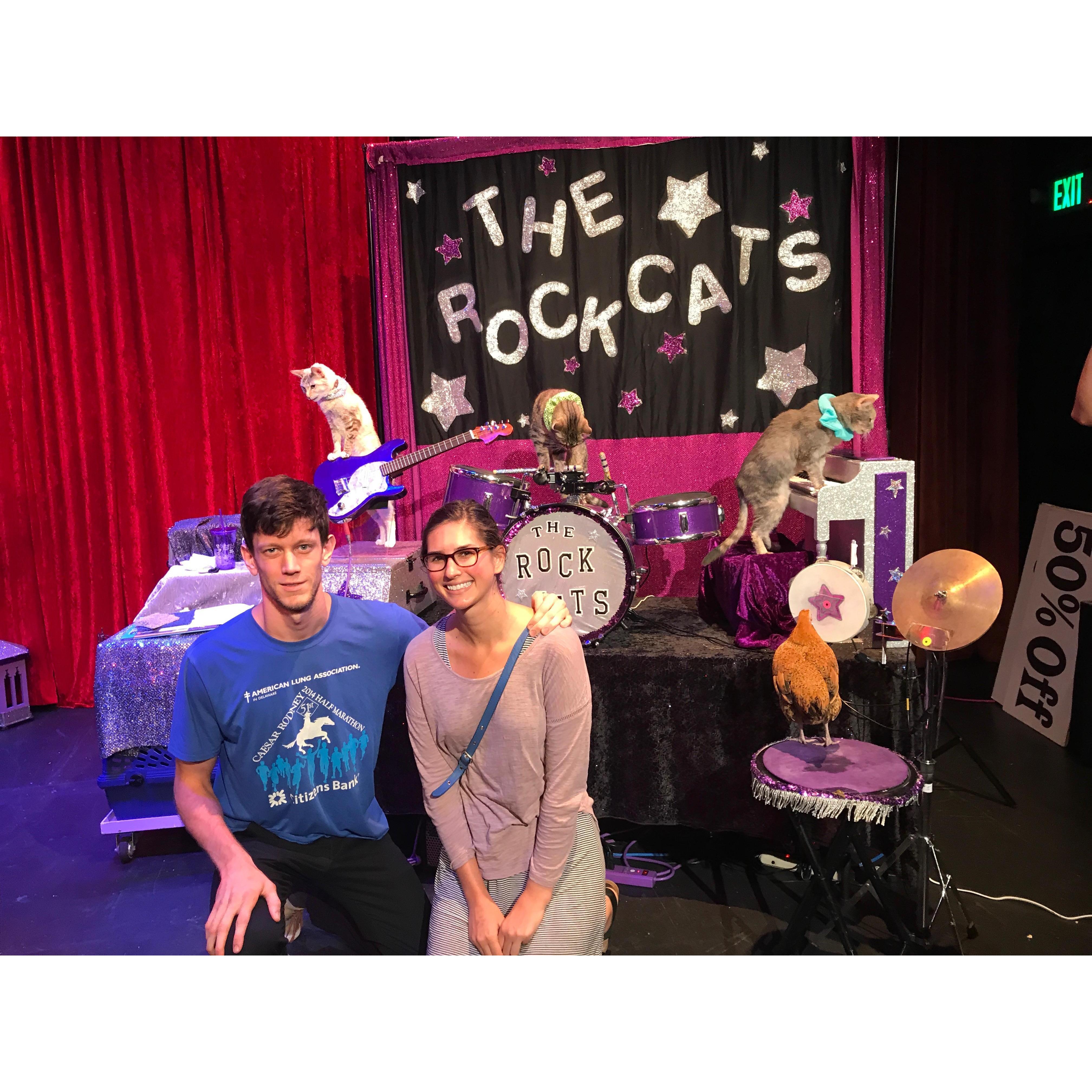 The Rock Cats Show (9/2017)