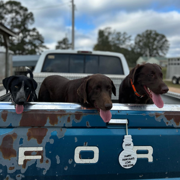 Our Pet Toy and Treat Fund