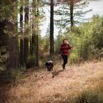 Hiking