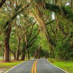 Miccosukee Canopy Road Greenway