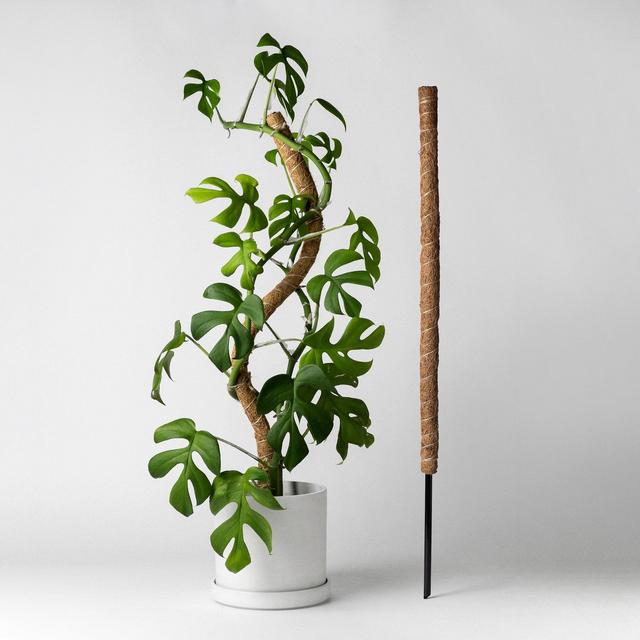 Bendable & Stackable Coco Coir Pole | 24" Moss Pole | Trailing Plant Support | Manila Coir Pole | Climbing Vine Moss Pole Plant Stakes