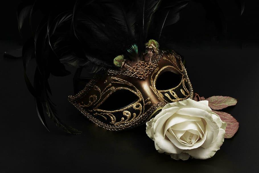 The Wedding Website of Mandy Coe and Adam Fogg