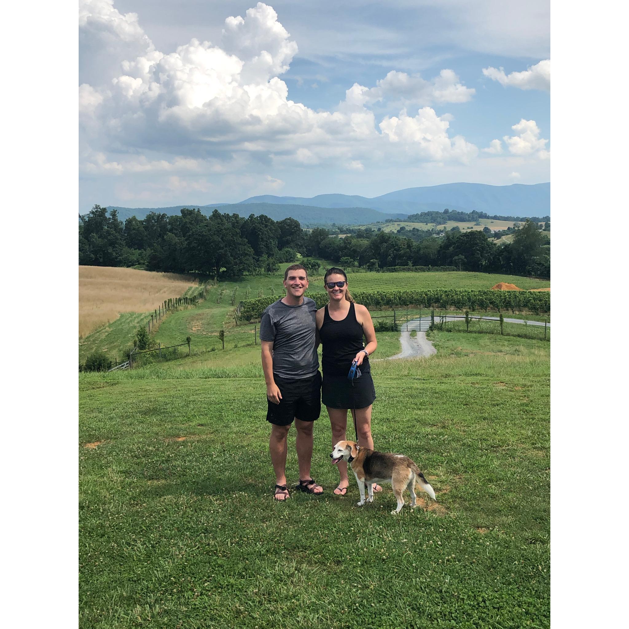 Lexington breweries with Bailey