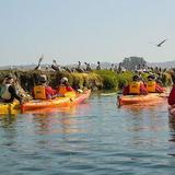 Elkhorn Slough