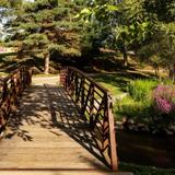 McCoy Pond Duck Park