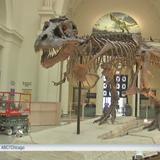 Field Museum