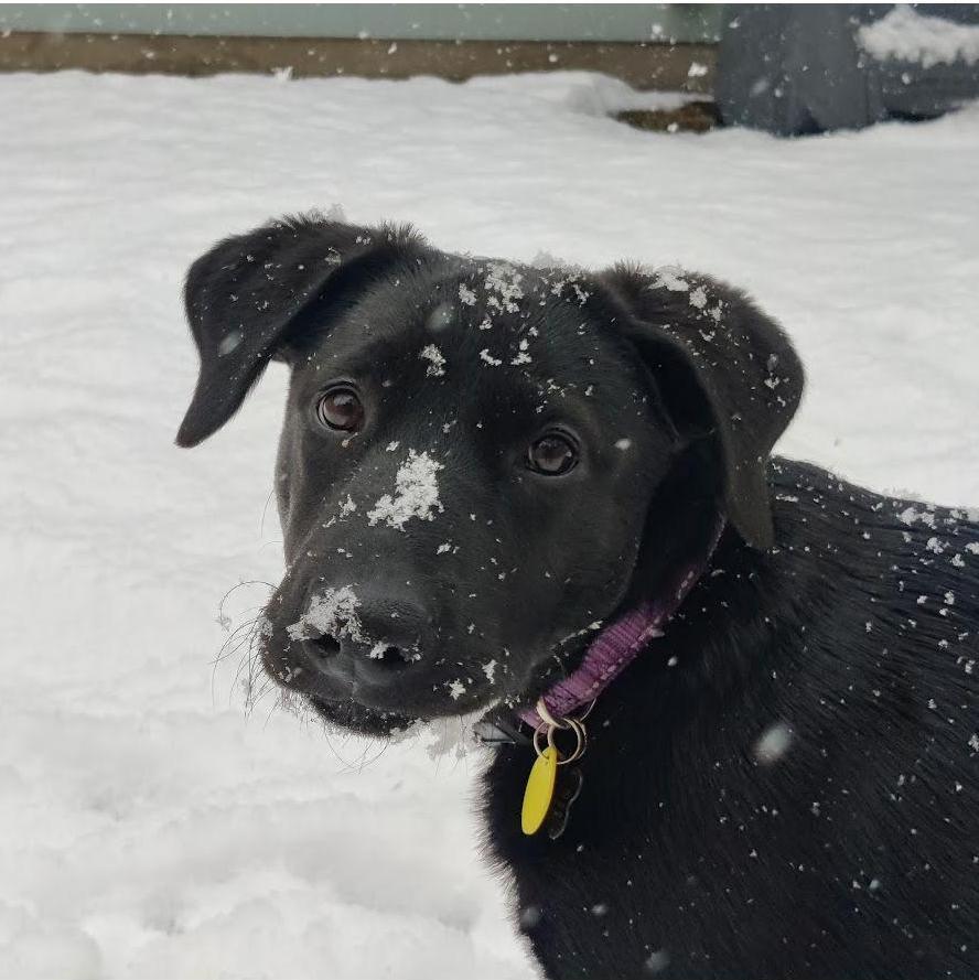 She loved the snow