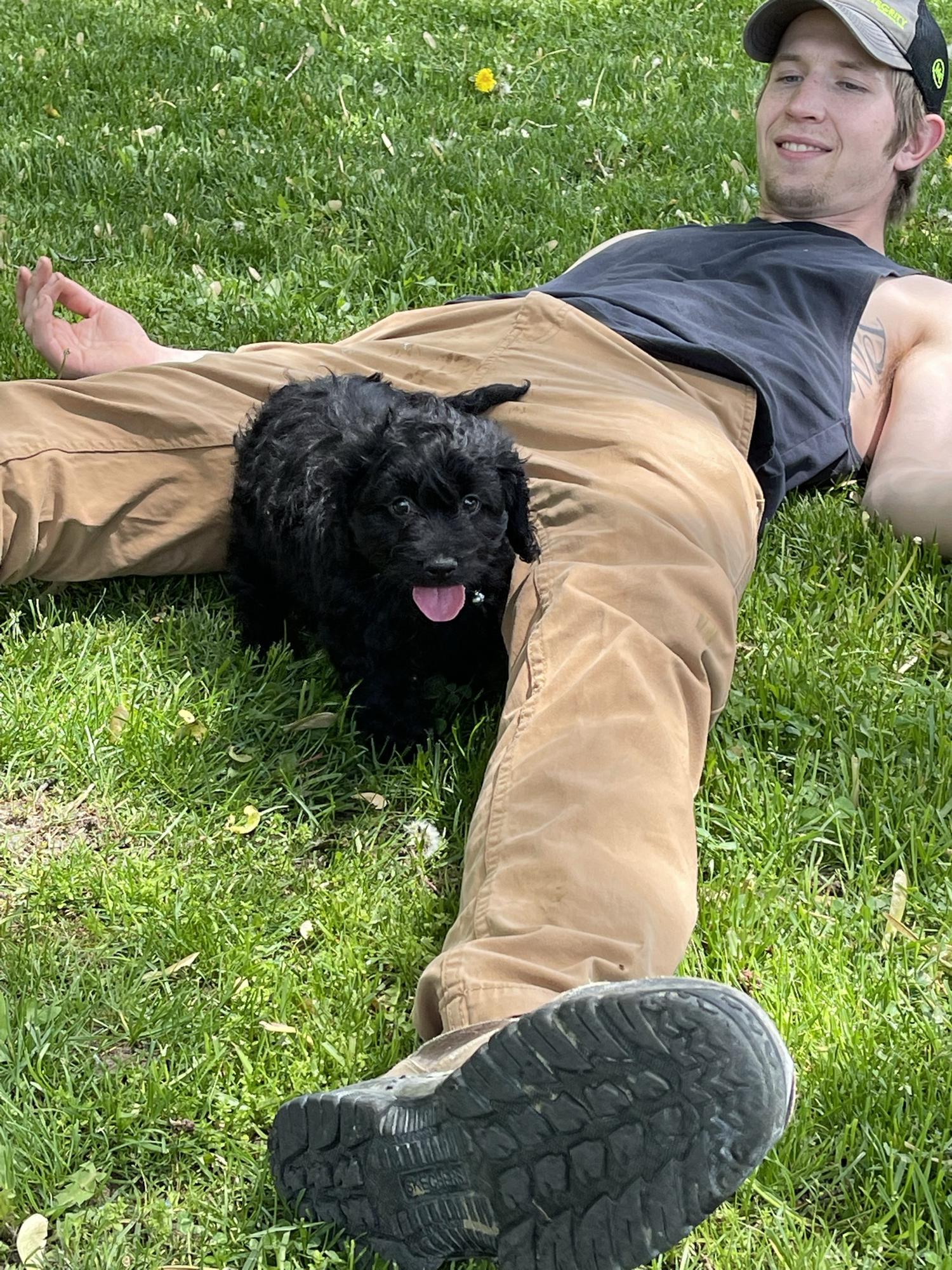 Our second baby 🐾