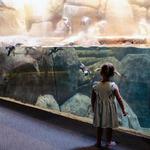 Greensboro Science Center