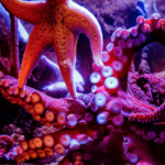 Aquarium