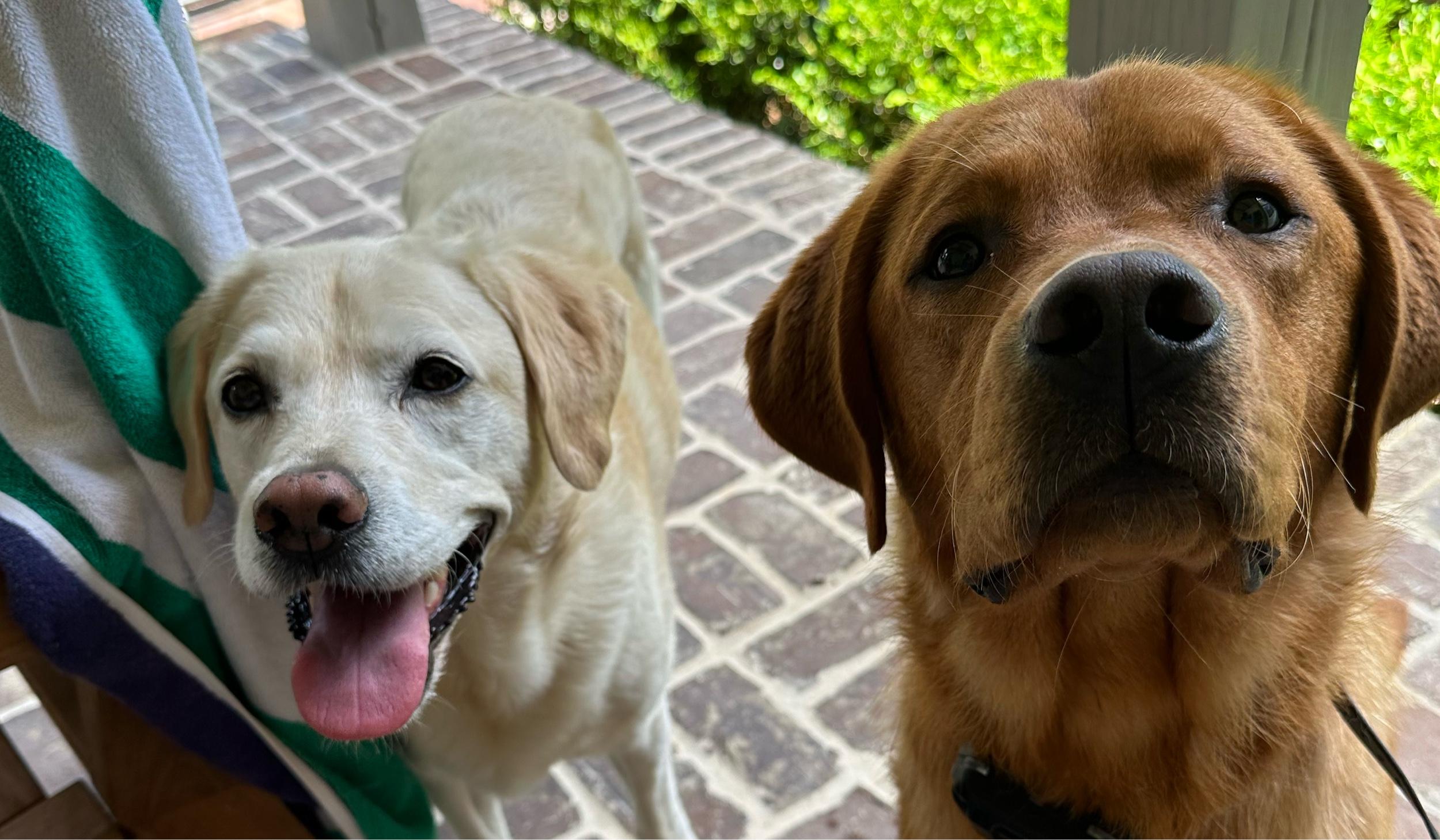 The Wedding Website of Gabriella Passidomo and Wilson Smith