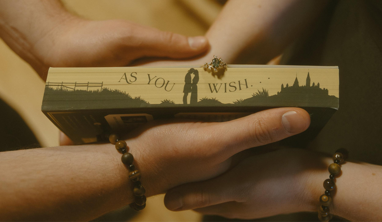 The Wedding Website of Lily Hammer and Zachary Katz-Stein