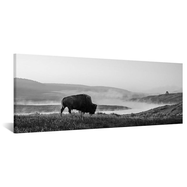 iKNOW FOTO American Buffalo Portrait Canvas Wall Art - Black and White Giclee Prints - Wild Animal Photography for Home and Office Decor - 20x55'' Panoramic Bison Landscape - Ready to Hang