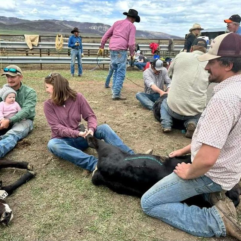 They always say that if you really want to get to know someone to work cows with them. So far we've managed to still love each other at the end of the day still, so we must be doing something right!