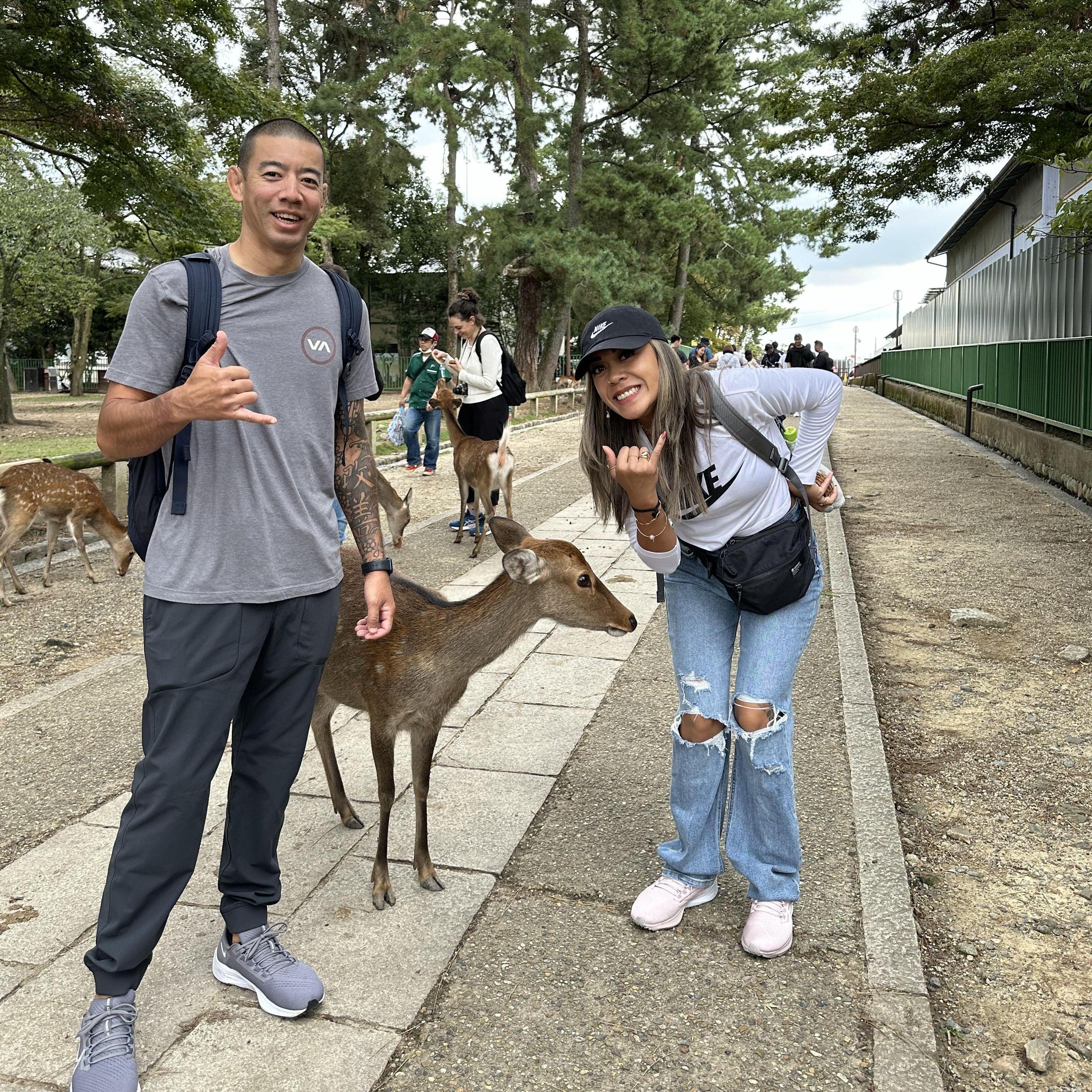 Japan, Nara Park