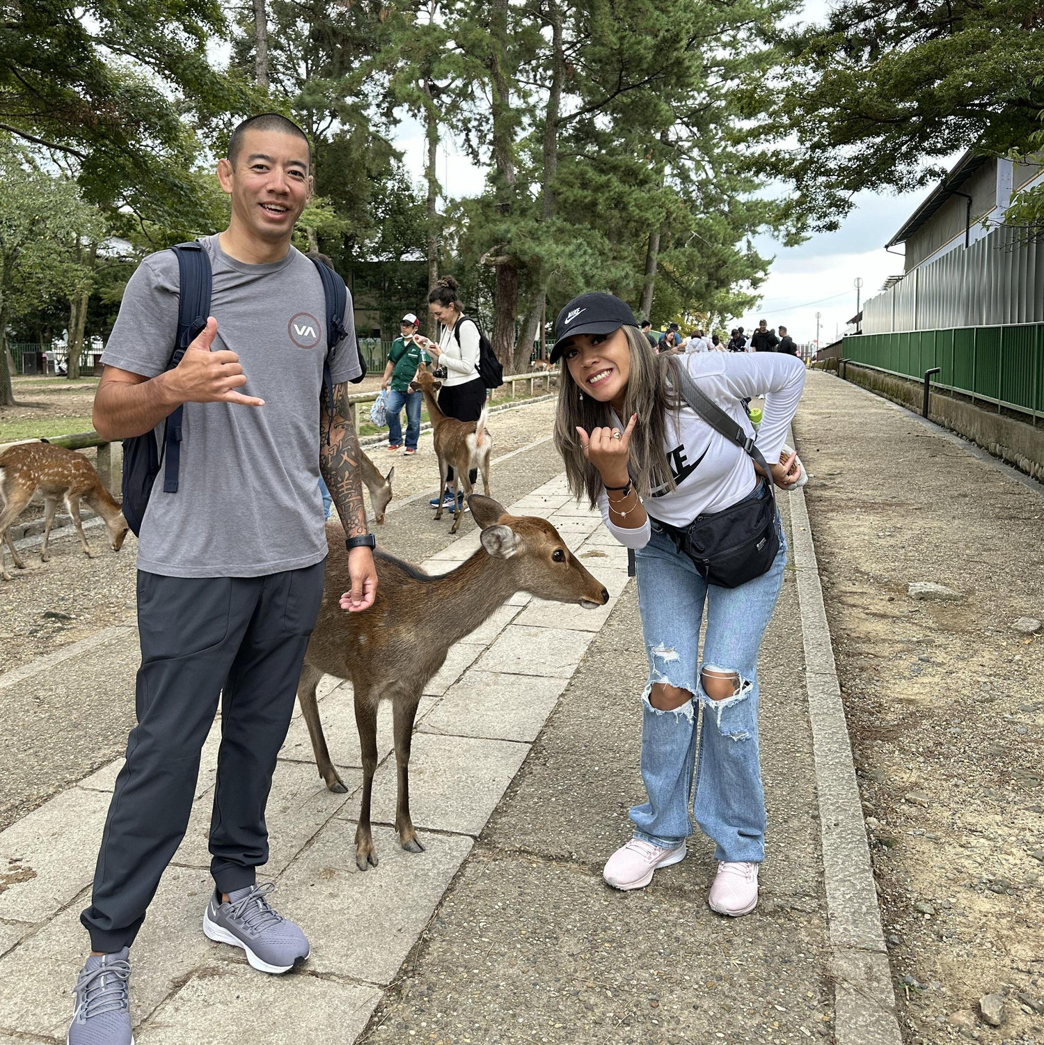 Japan, Nara Park