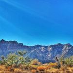 Red Rock Canyon National Conservation Area