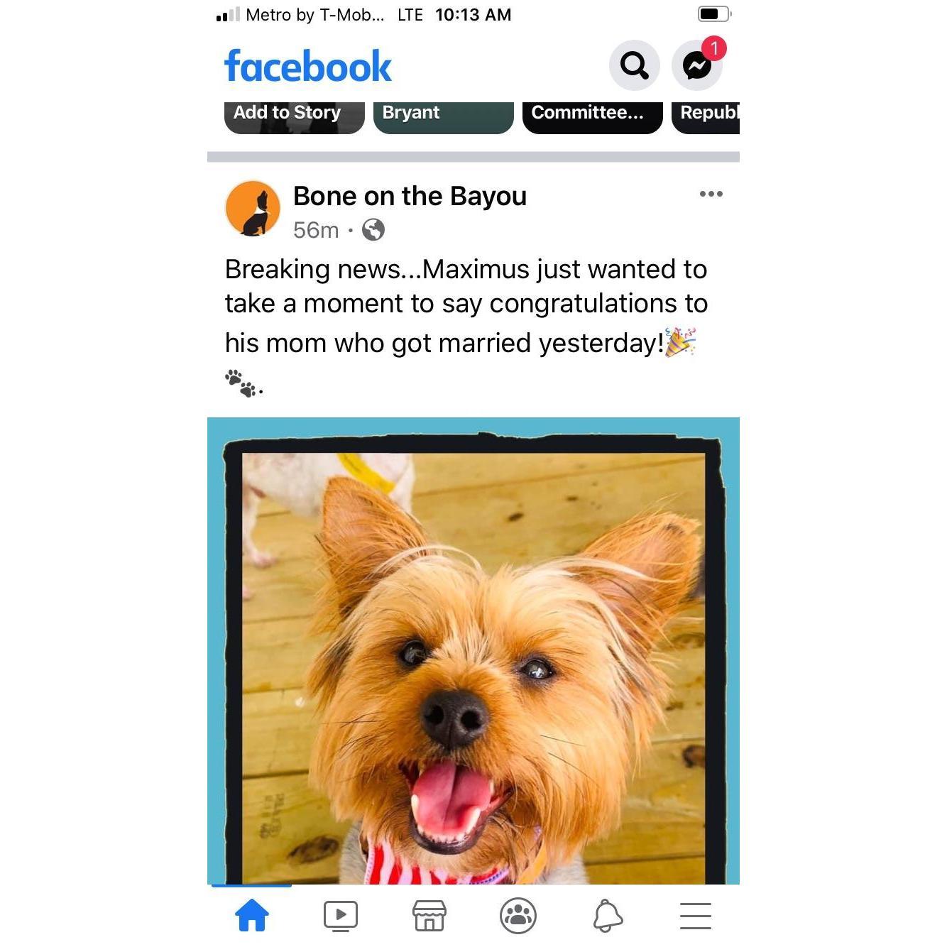 Maximus approves.