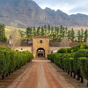 Stellenbosch Winery Day (tastings + lunch)