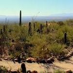 Arizona-Sonora Desert Museum